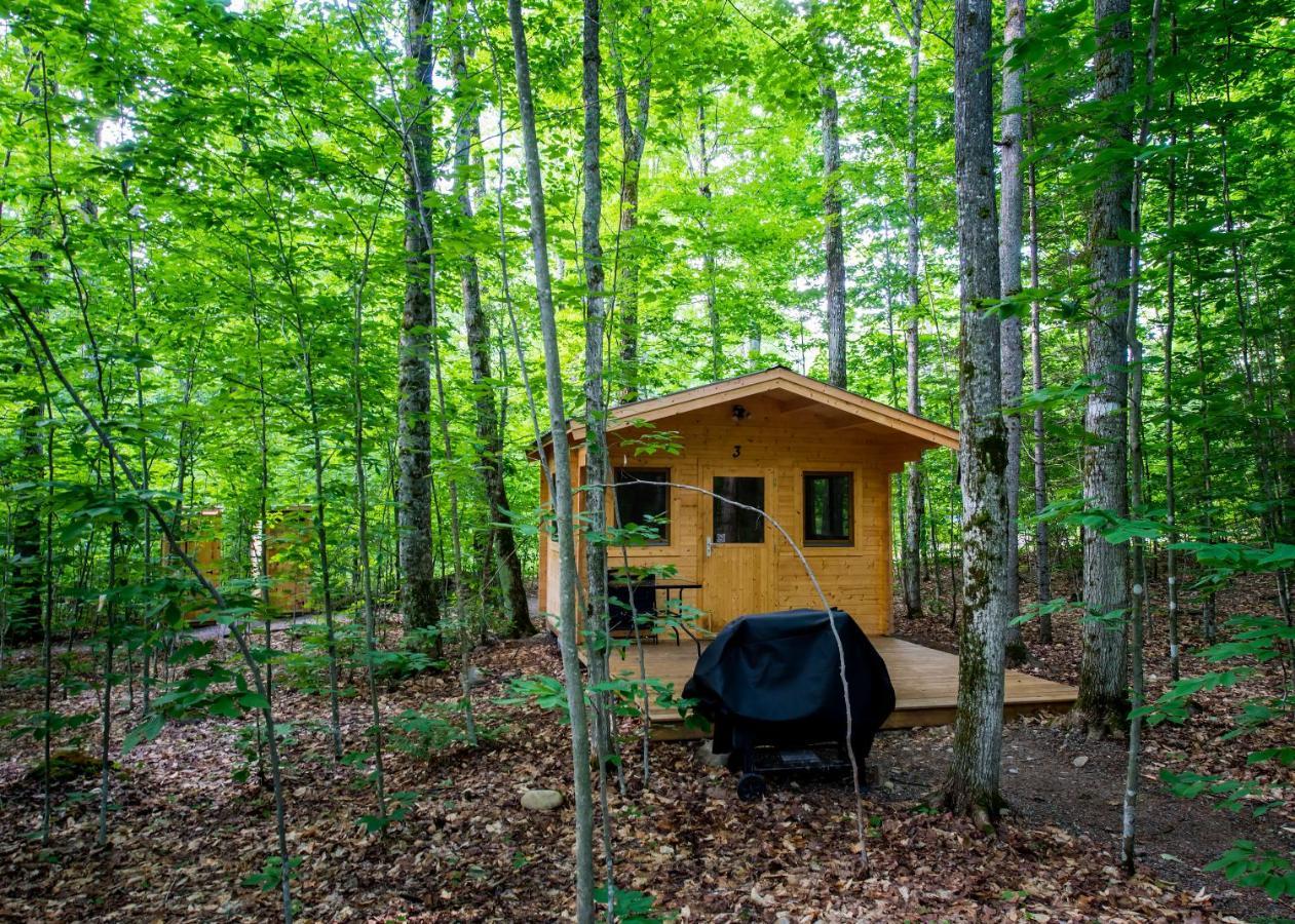Madawaska Lodge-Cottage מראה חיצוני תמונה