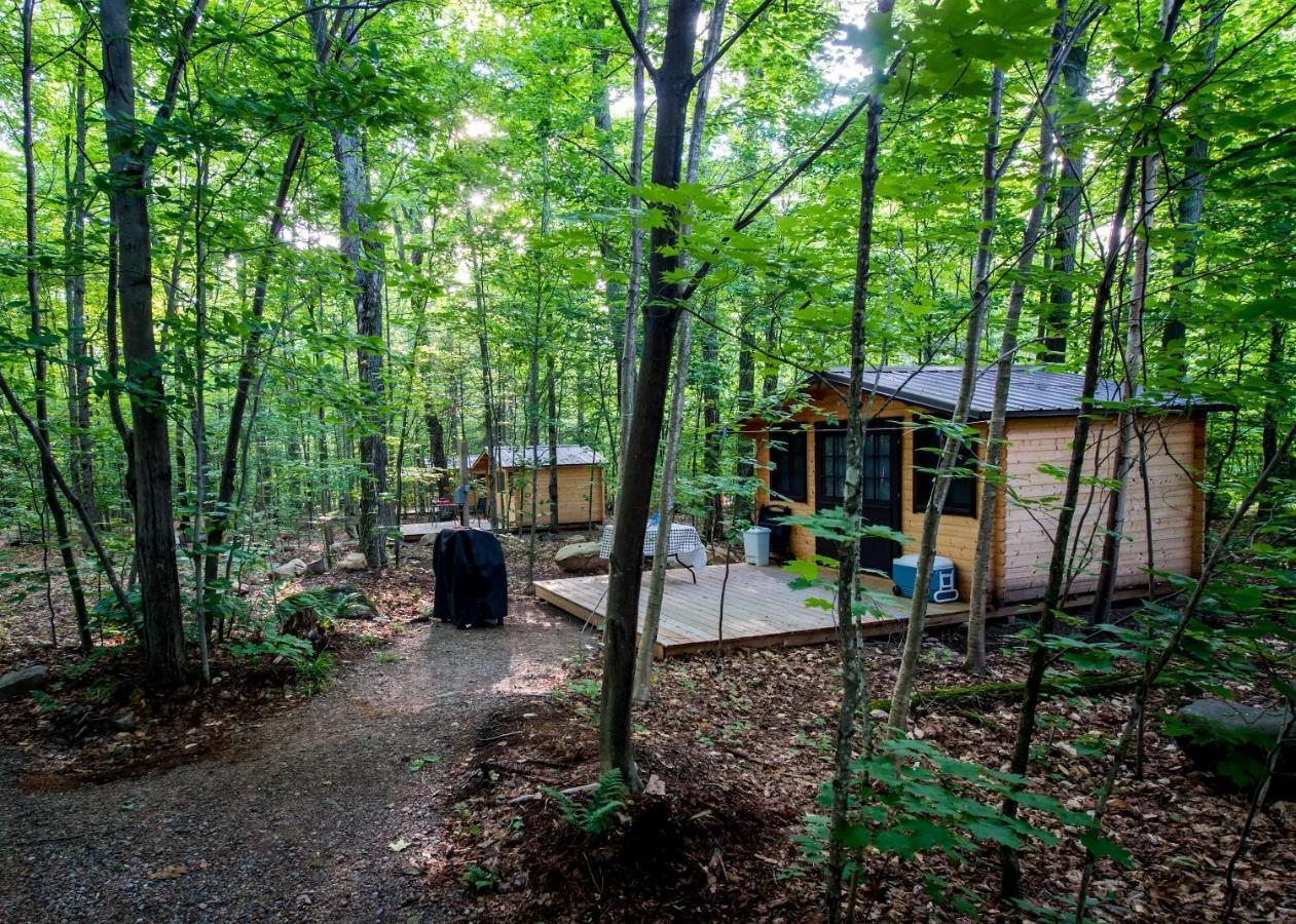 Madawaska Lodge-Cottage מראה חיצוני תמונה